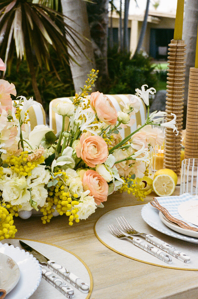 0009 San Diego Hybrid_FilmScan_Photography by Emma