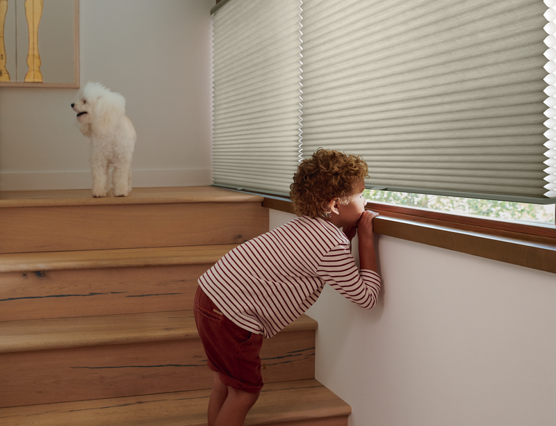 Child and dog peeking outside from a window