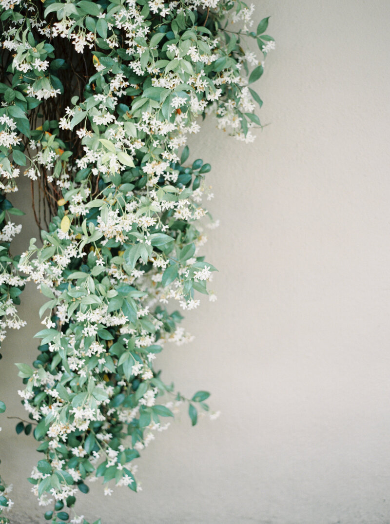 FilmGathering_Charleston_0001