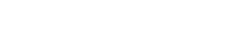 SkinSanctuary _ White_PRIMARY LOGO