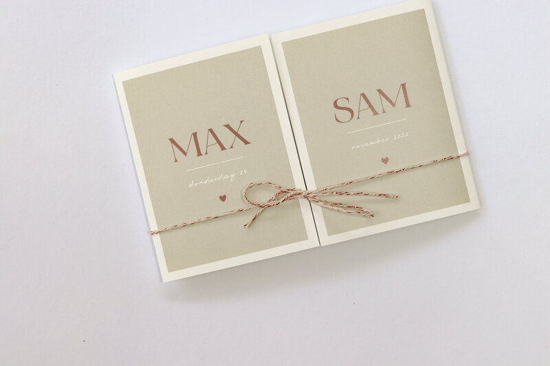Beige-tweeling-tweeluik-Max-Sam-met-koper-en-foto-3