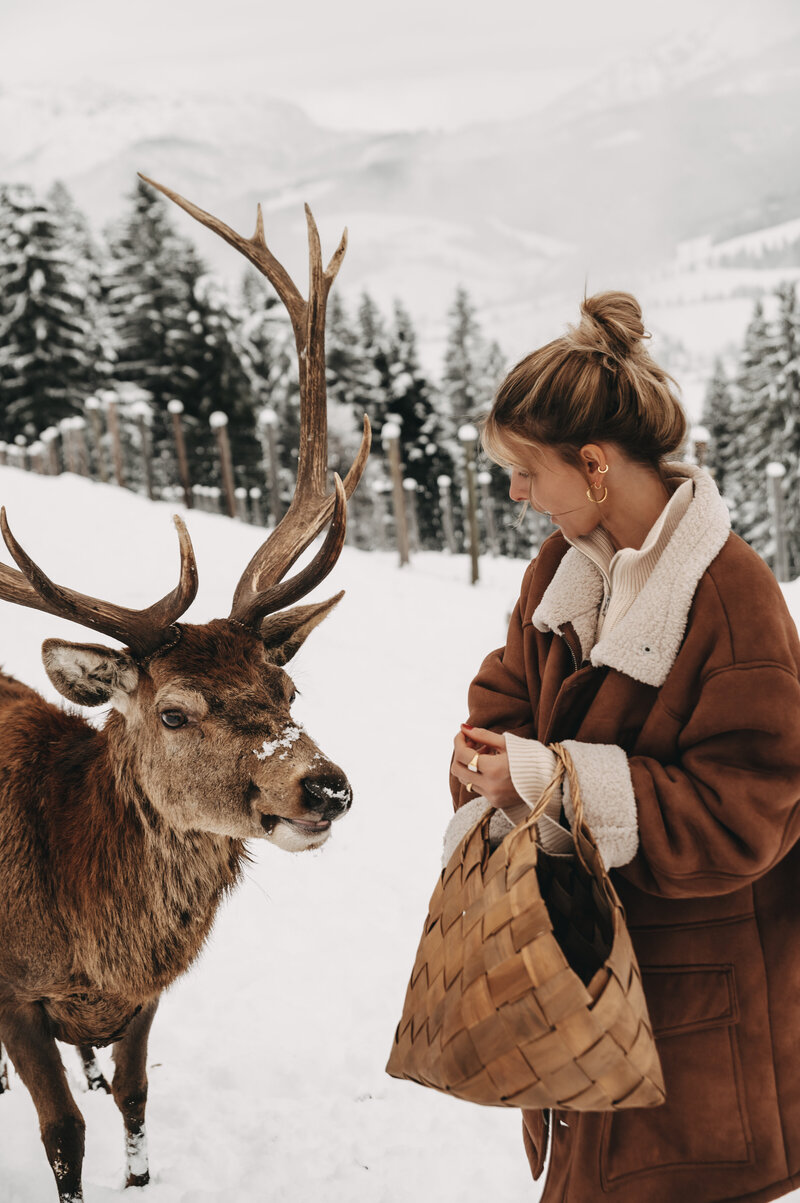 tiere-jufenalm-wildgehege-winter19