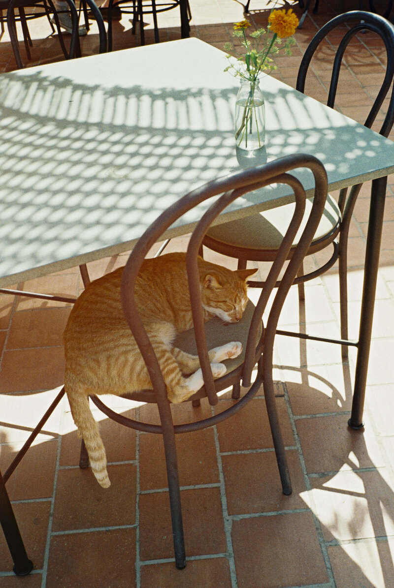 Boise Wedding Photographer (19 of 36)