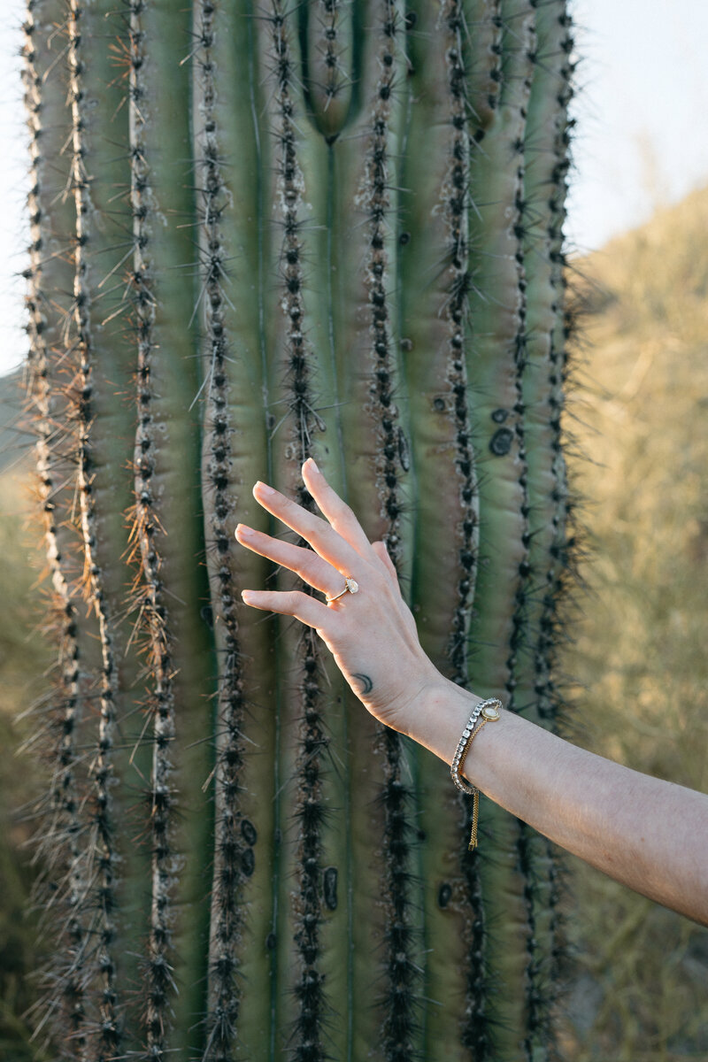 arizona-50
