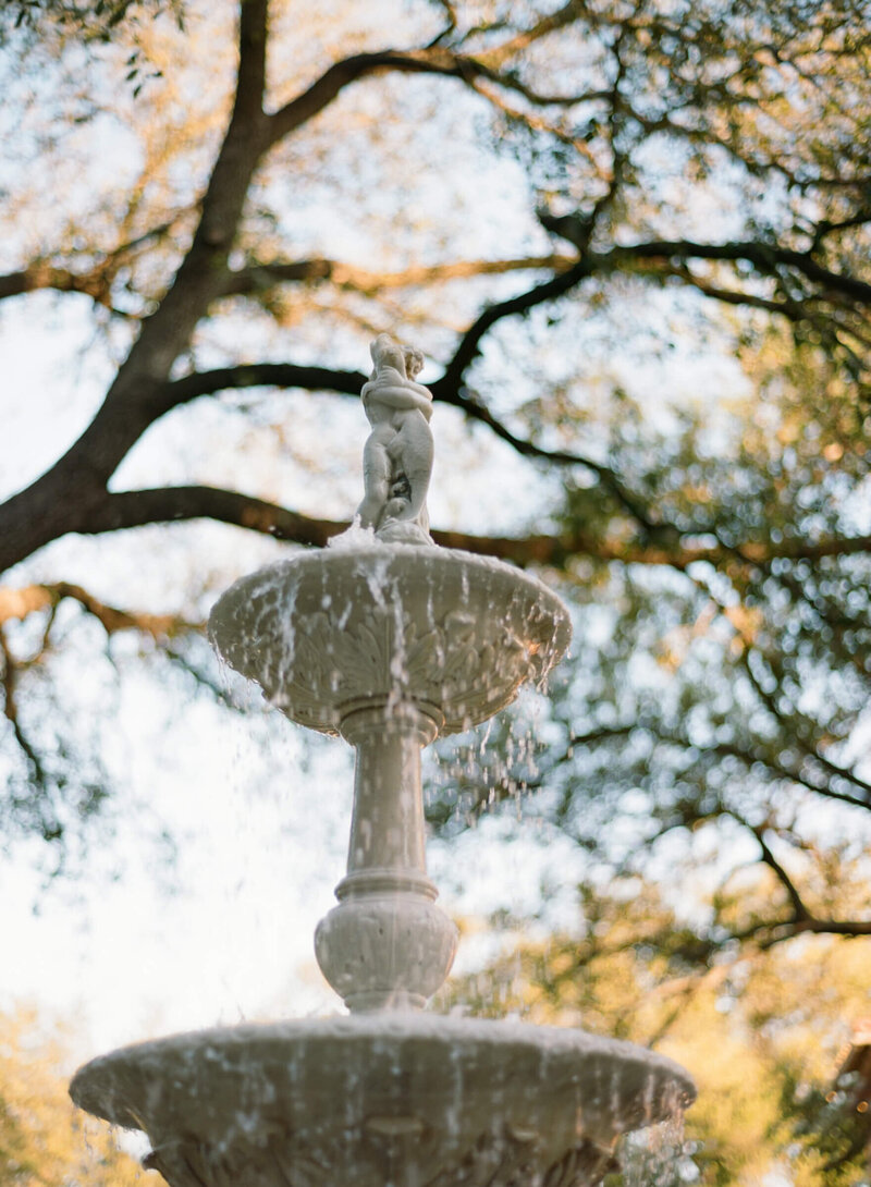 A wedding engagement photo session in Dallas Texas