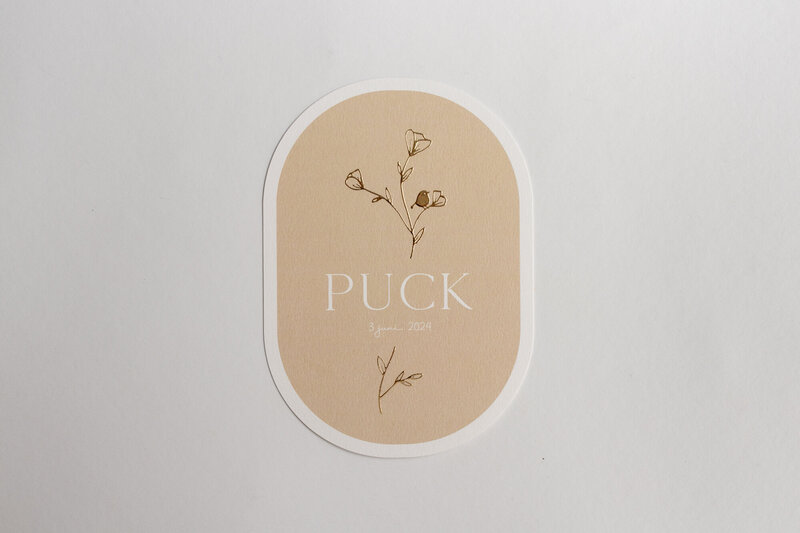 Ovaal-geboortekaartje-Puck-in-beige-met-goudfolie-takje-5