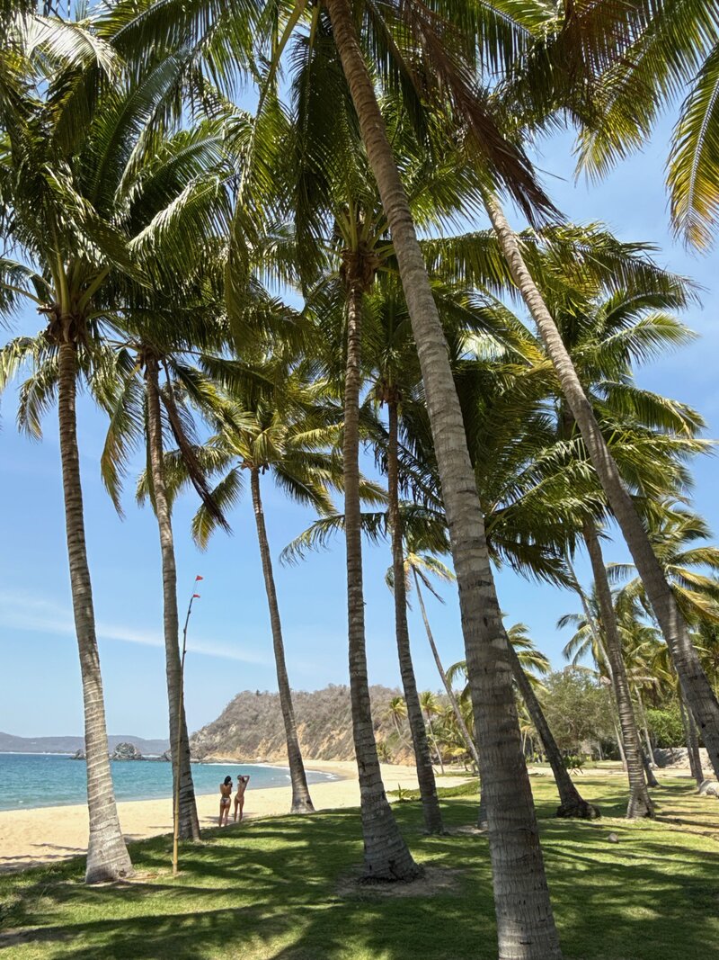 tamarindo beach four seasons tamarindo