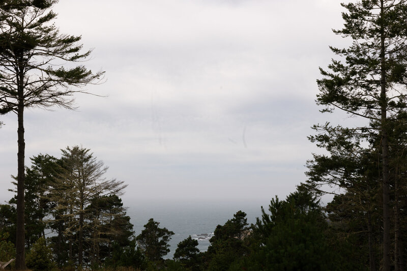 Wedding couples photography jenner california