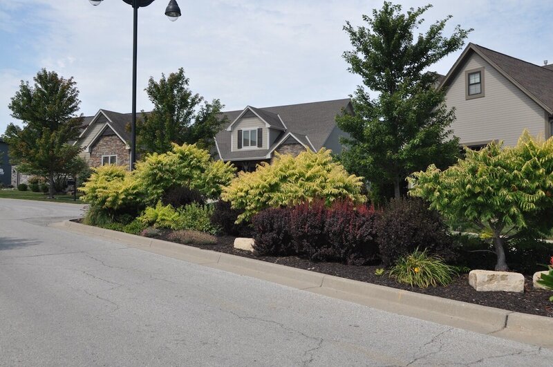 Landscape company project: commercial media landscaping maintenance 