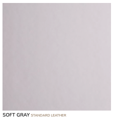 Leather - Soft Gray