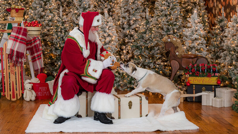 FoxBrazen_SantaMGExperience2024English_0185a