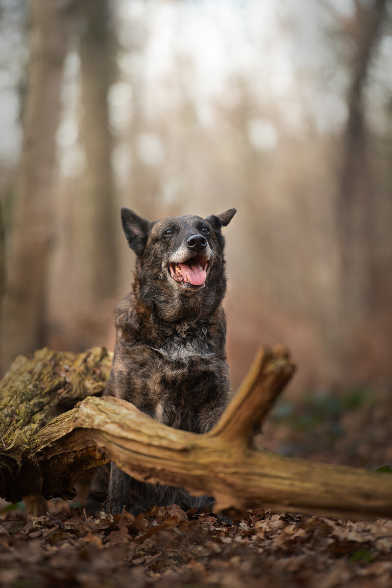 Barbara_Daamen_Fotografie_Tilburg