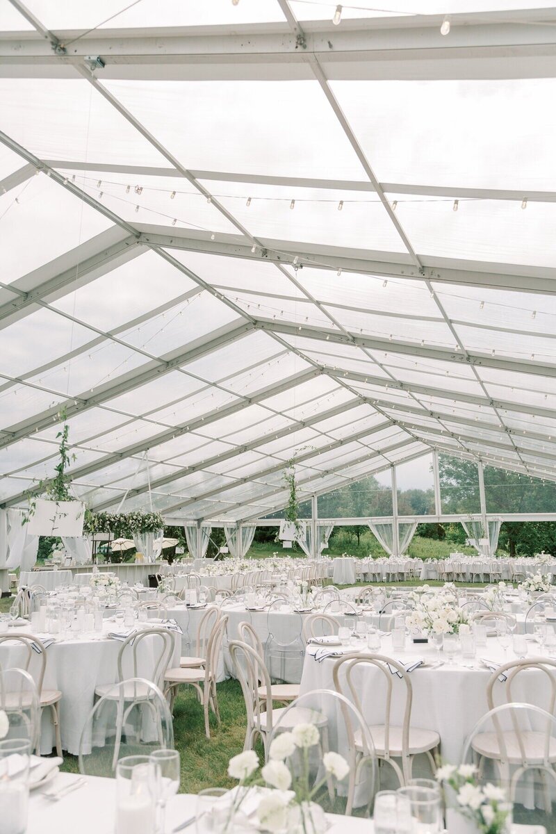 Milwaukee wedding photographer, Emily Barbara, documents a vibrant outdoor wedding reception under string lights.