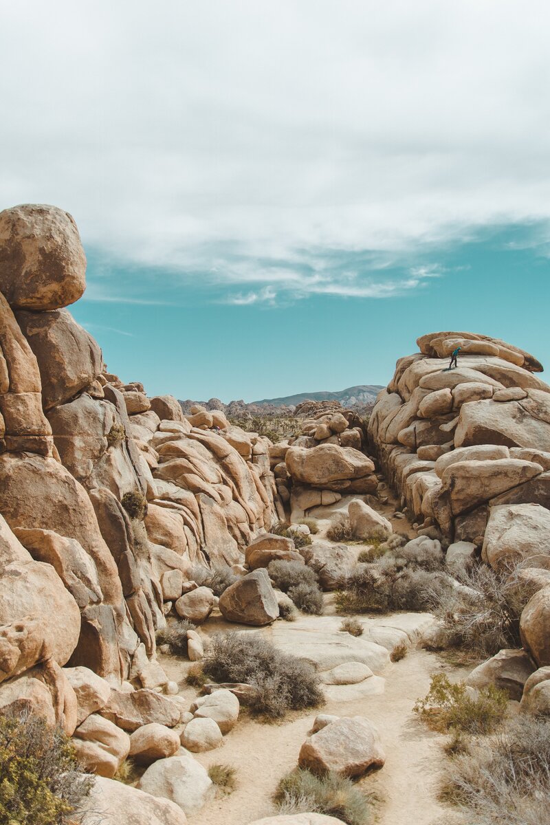 Desert family vacation hike