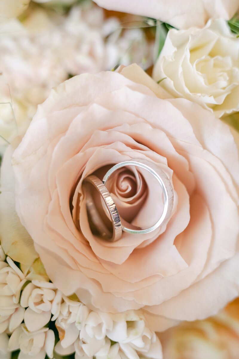 soulseeker-creative-photography-HoEPpCy4-pg-unsplash copy