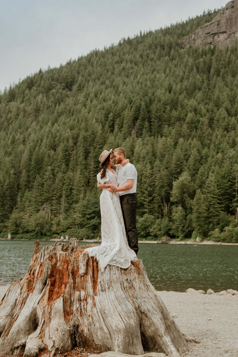 couple standing on a tree