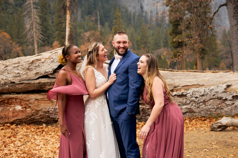 sequoia national park wedding