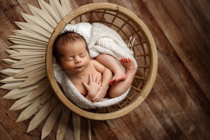 Newborn baby posed in the froggy position on a warm floral backdrop, wearing a delicate headband. Captured by Honeywild Photo, a Grand Rapids newborn photographer specializing in timeless and artistic portraits.