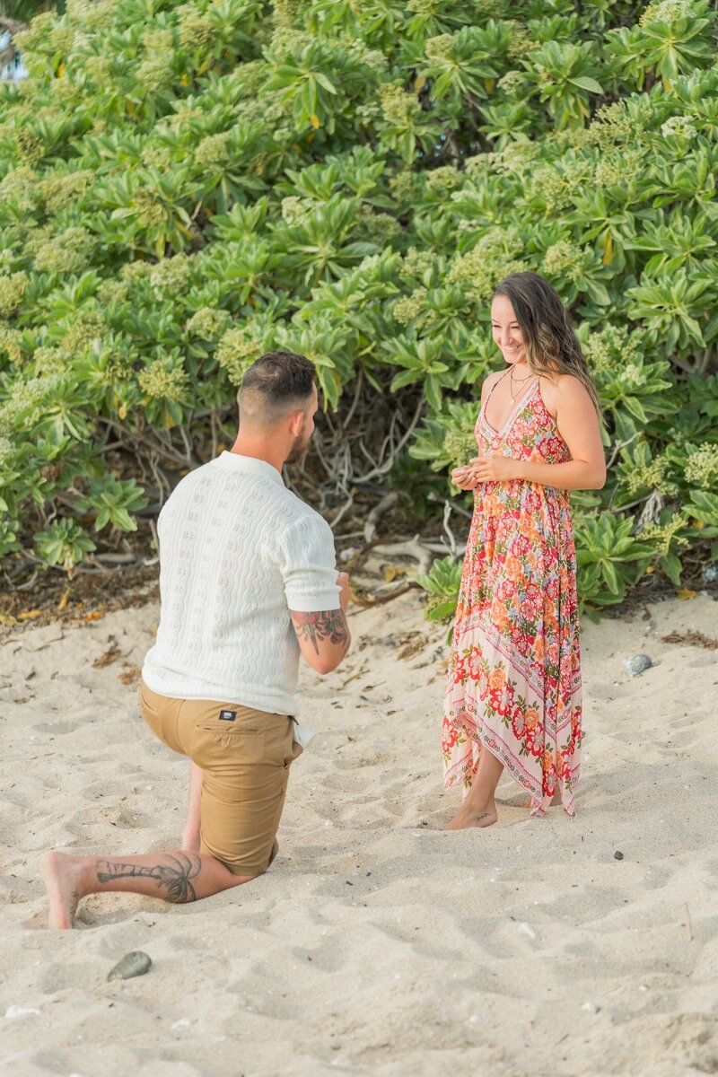 Big Island Proposal Only Package 