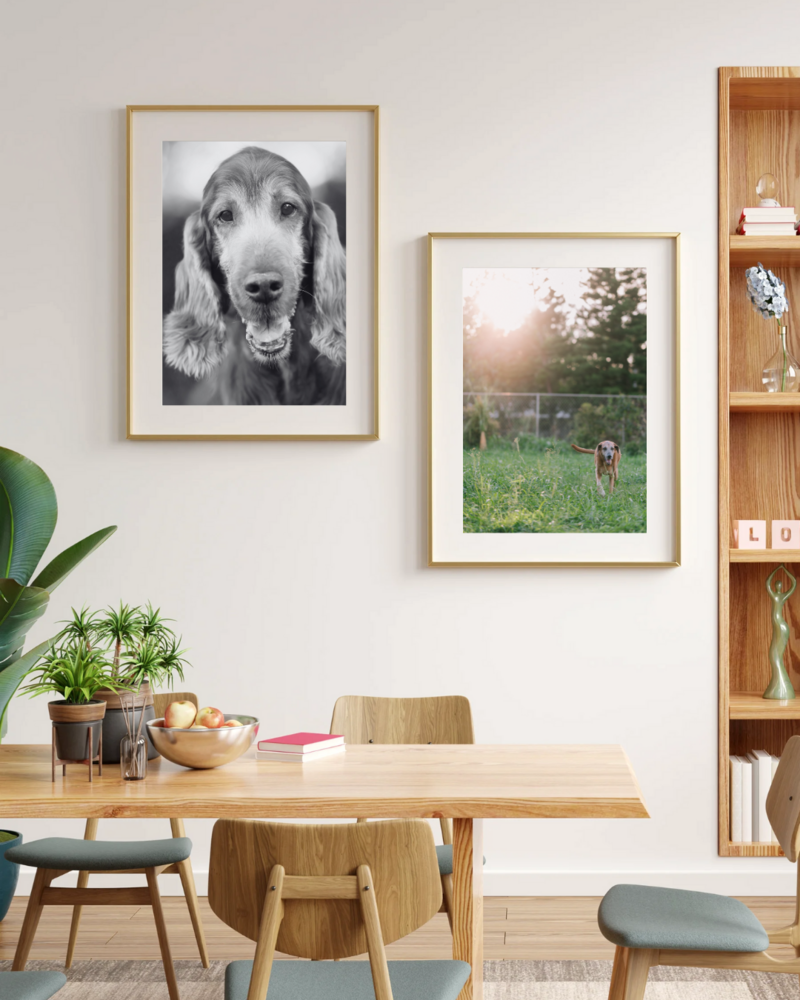 modern scandanavian dining room featuring large framed portrait art of the owners large dog