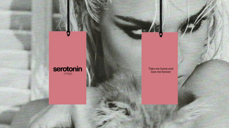 Brand Guidelines Serotonin Vintage (4)
