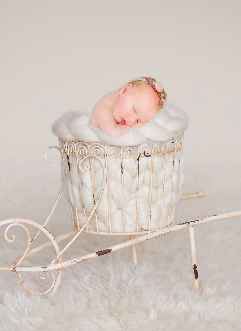 most popular baby photographers