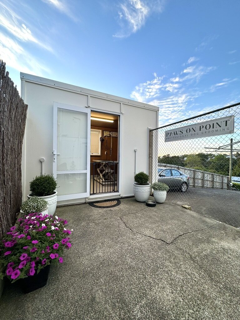 F664C2E5-6743-4B2A-9999-5AFE5B4AB3EB_1_105_c