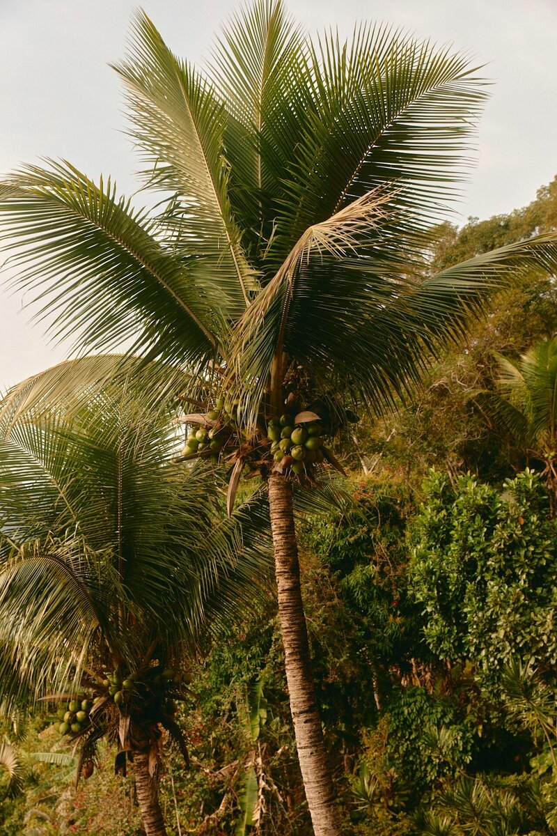 DTS_Daniel_Farò_Travel_Together_030