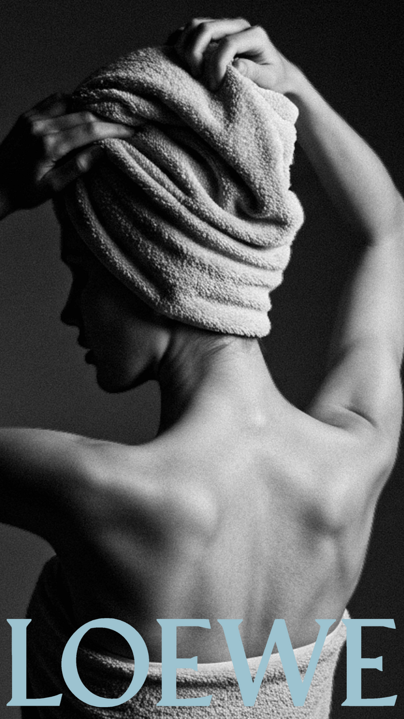 loewe towel