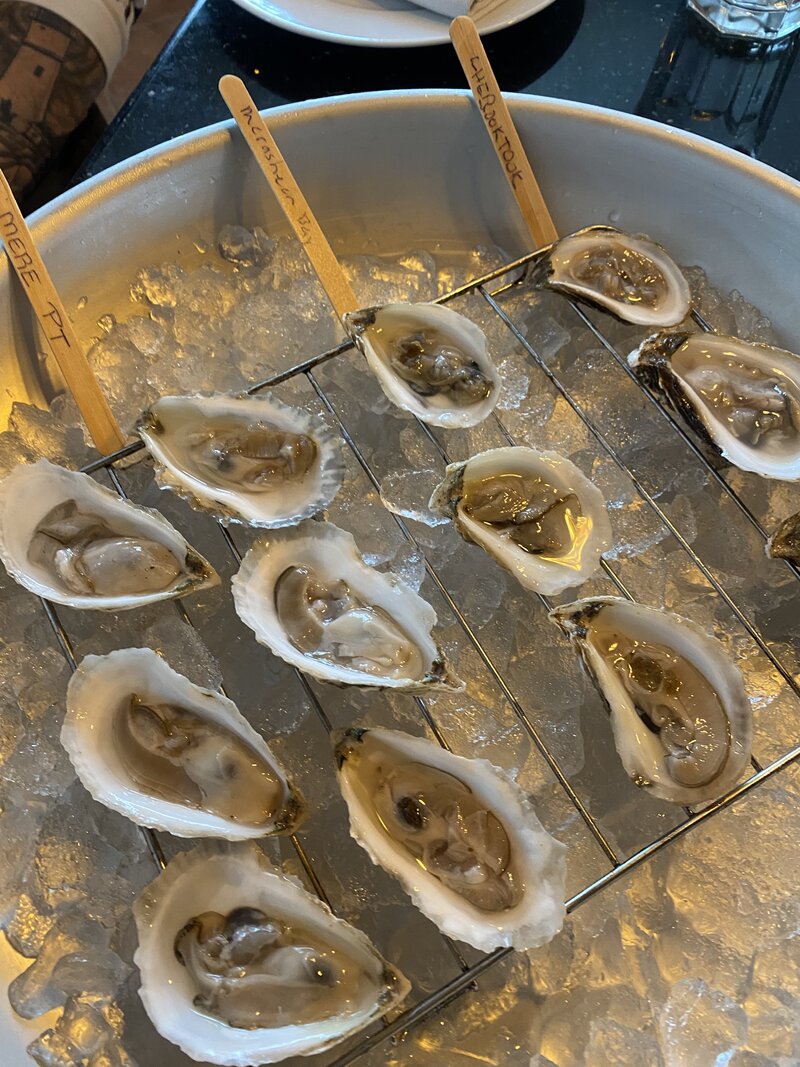 Leila Zayed - Raw Oysters