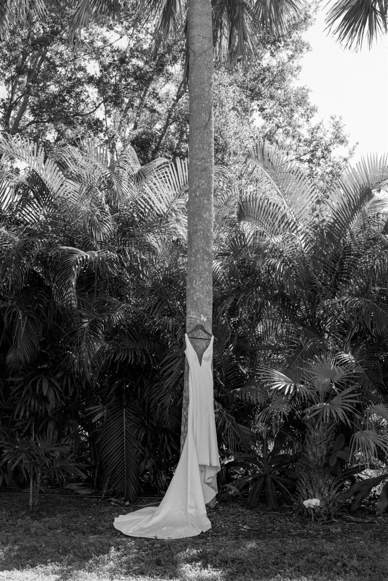 PHOTO-38