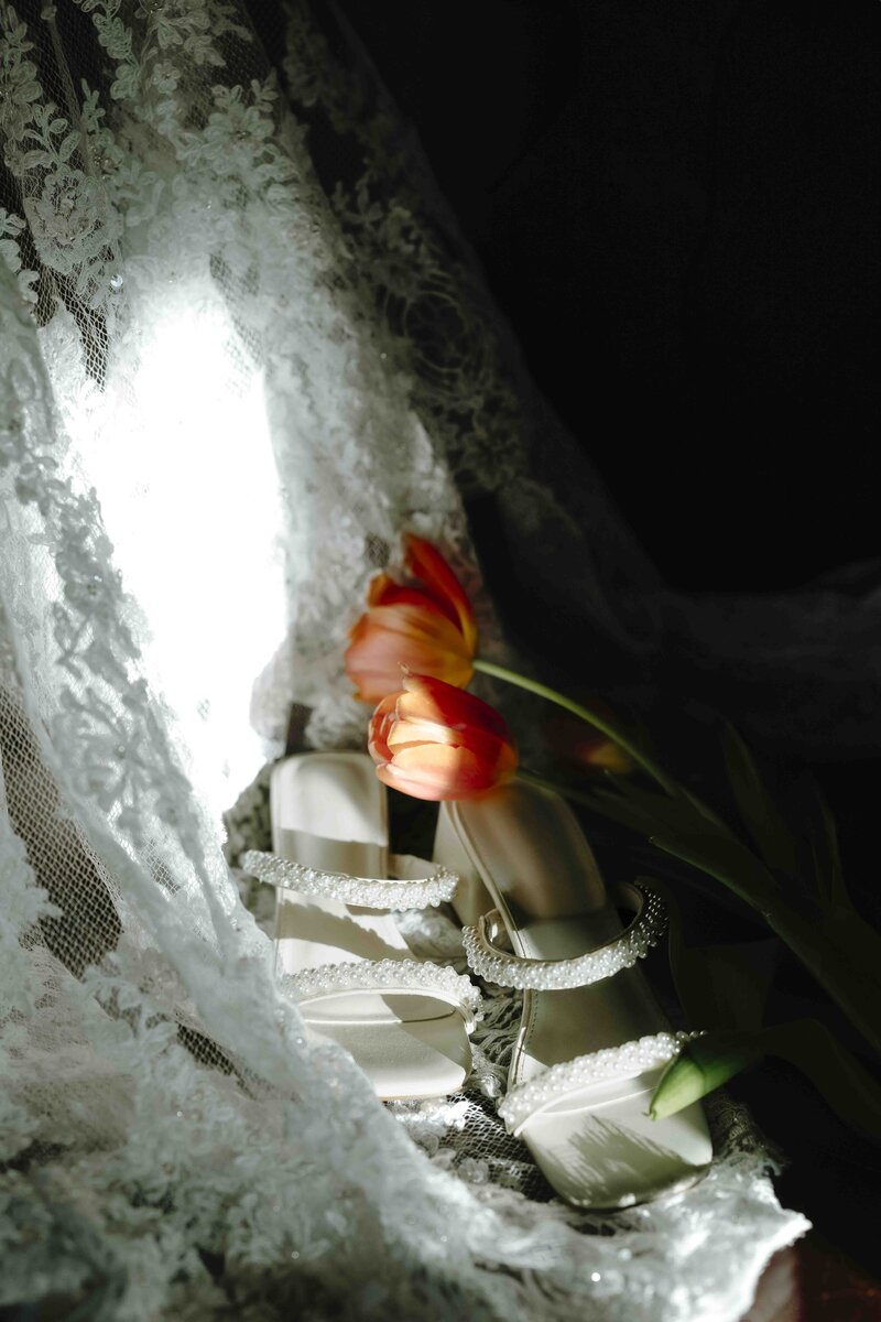 7X6A3633-Edit
