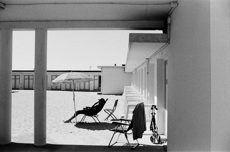 pexels-alexis-b-12963980