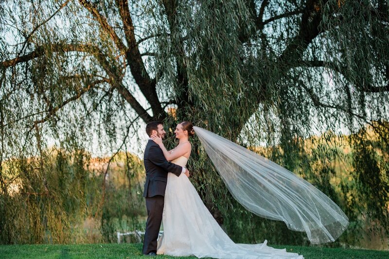 A bride and groom embracing each other in front of a willow tree as the bride's veil flutters in the wind