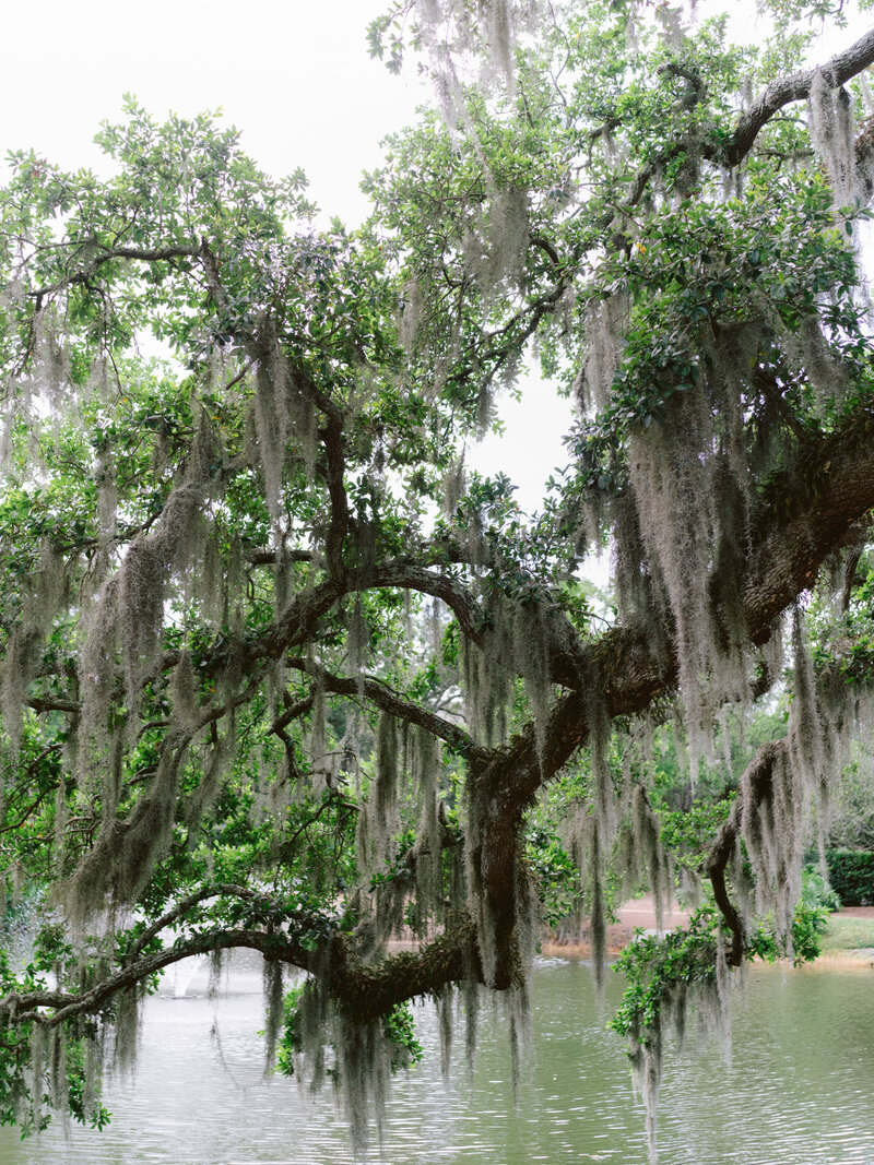 spanish_moss_wedding_venue