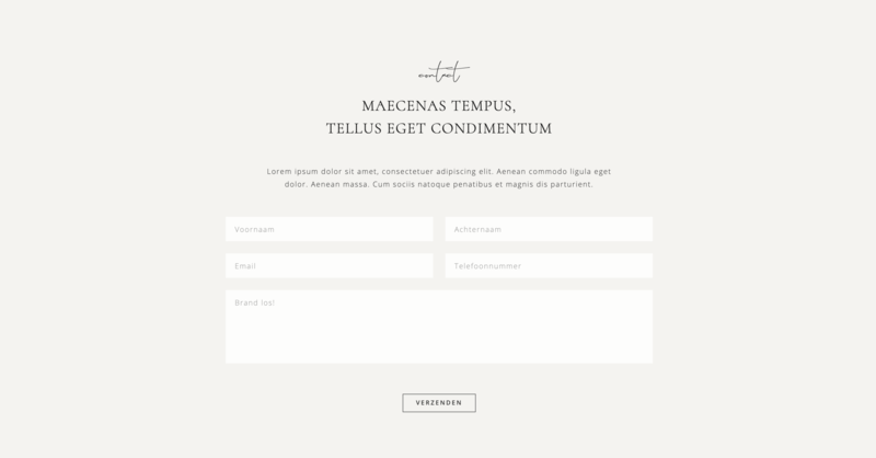 Showit theme for coaches and creatives - minimalistic, elegant & classy 09