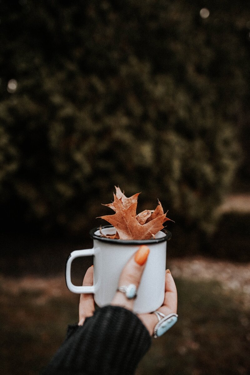 allison-christine-pBKPFQ-3S6k-unsplash