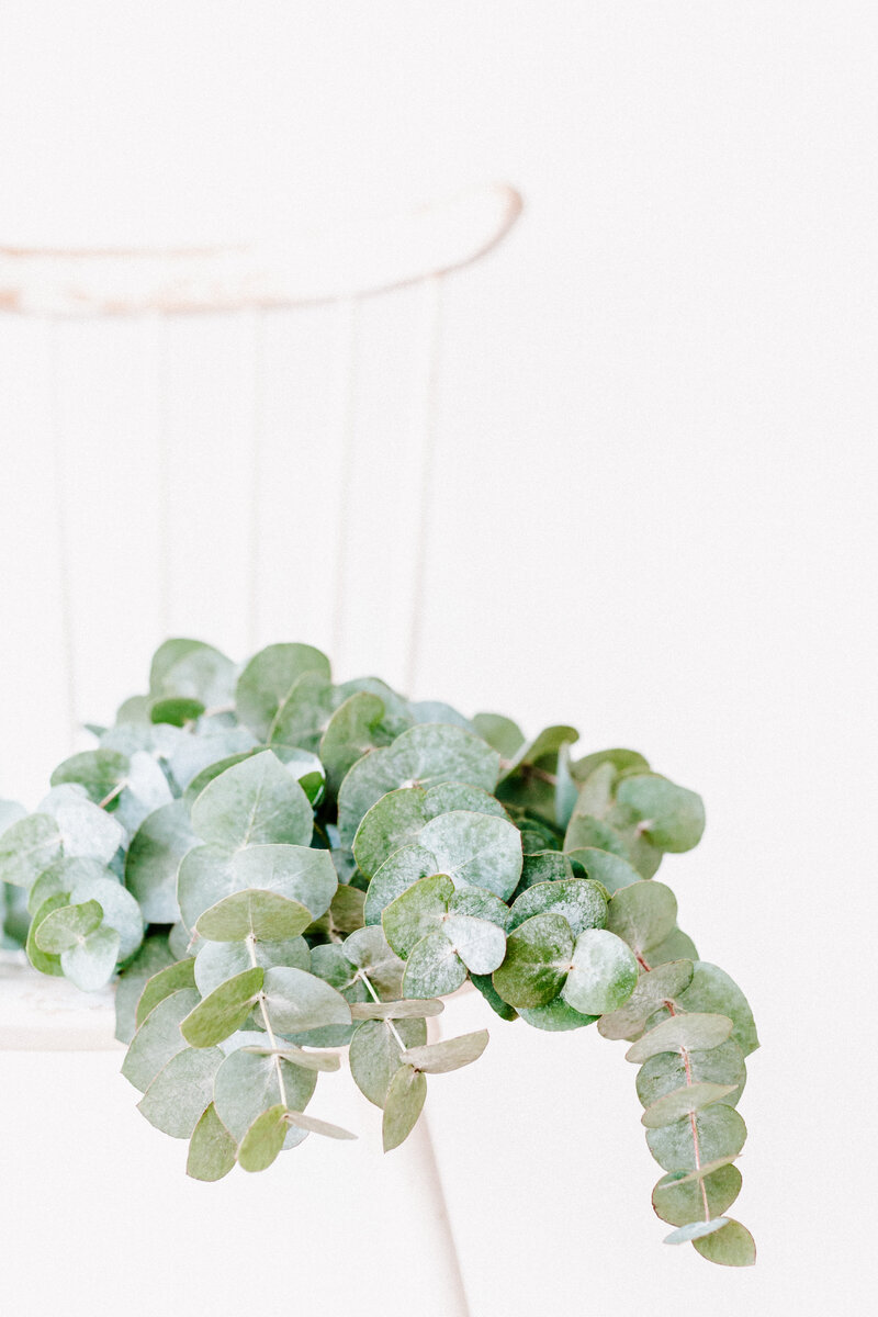 Bethie Grondin Lifestyle Blog4