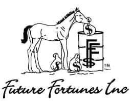 Trippin' on Fame Stallion listing1