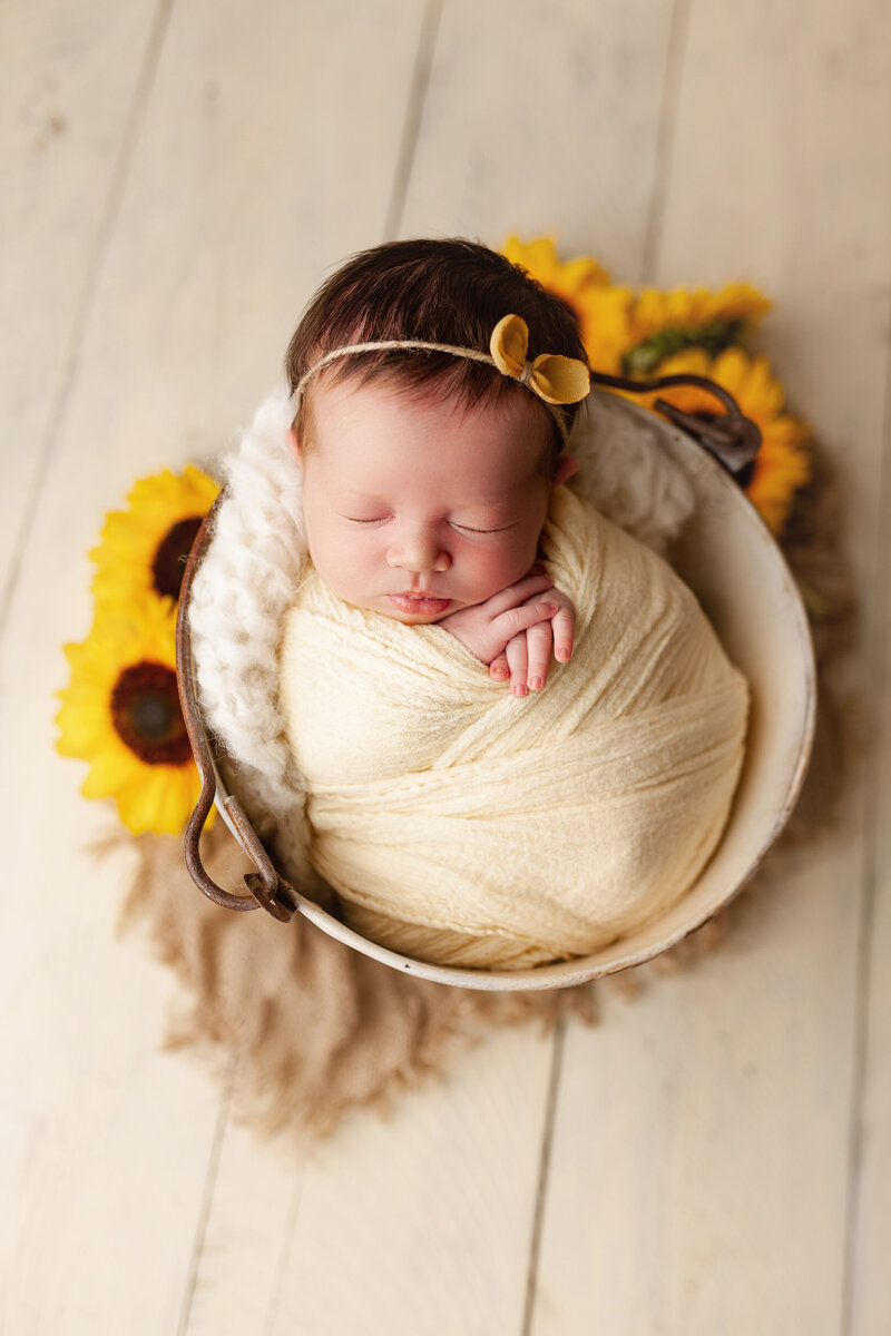 newborn photography thousand oaks, newborn photographer near me, newborn portraits ventura county, professional newborn photos