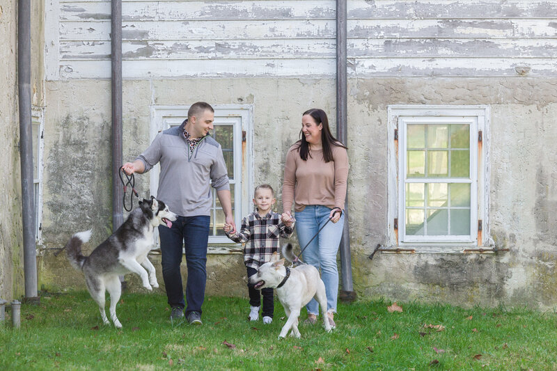 A family walking with their energetic little boy and two playful dogs, showcasing bonding moments from a dog-friendly mini session near Philadelphia.