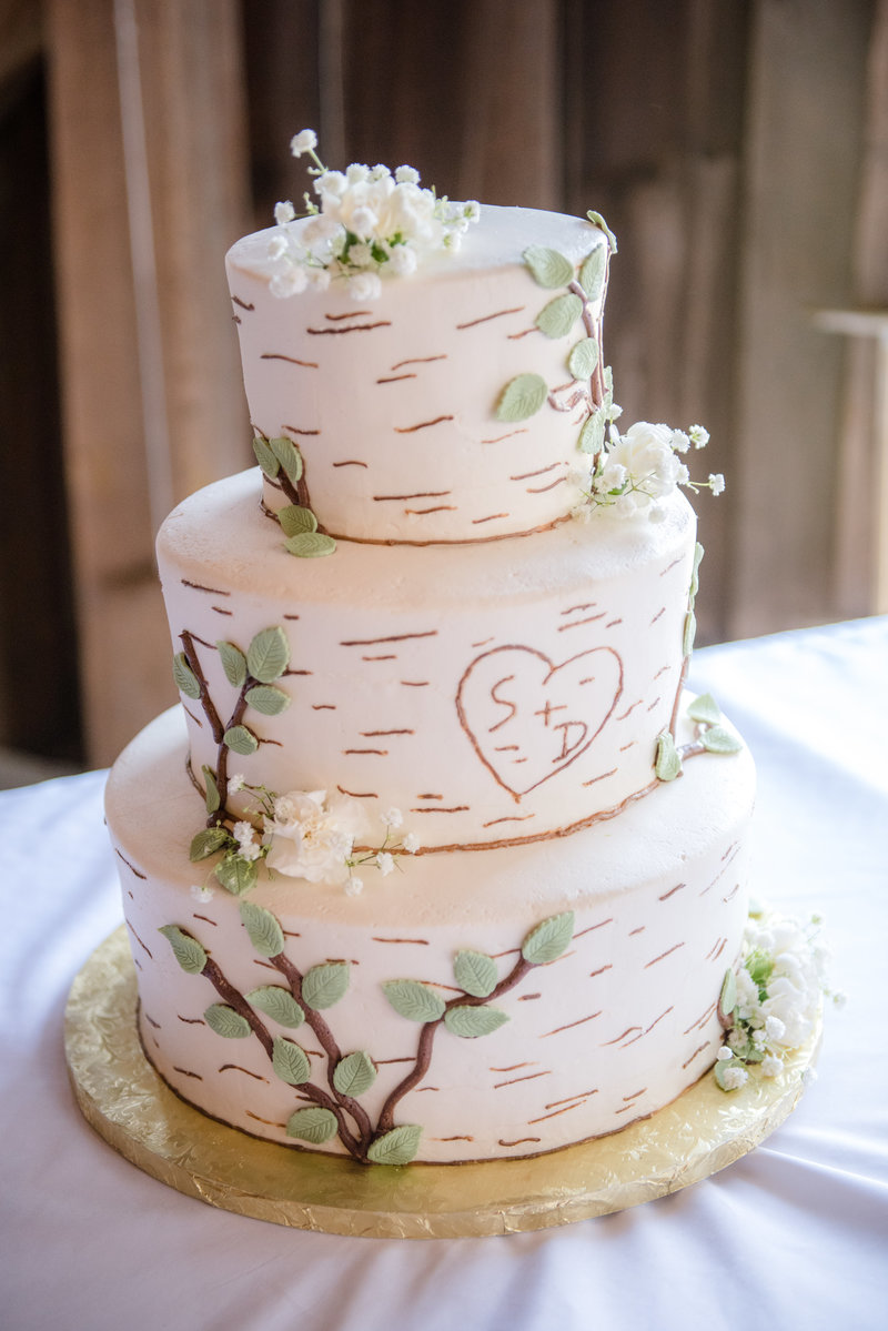 JandDstudio-wedding-gettysburg-reception_cake