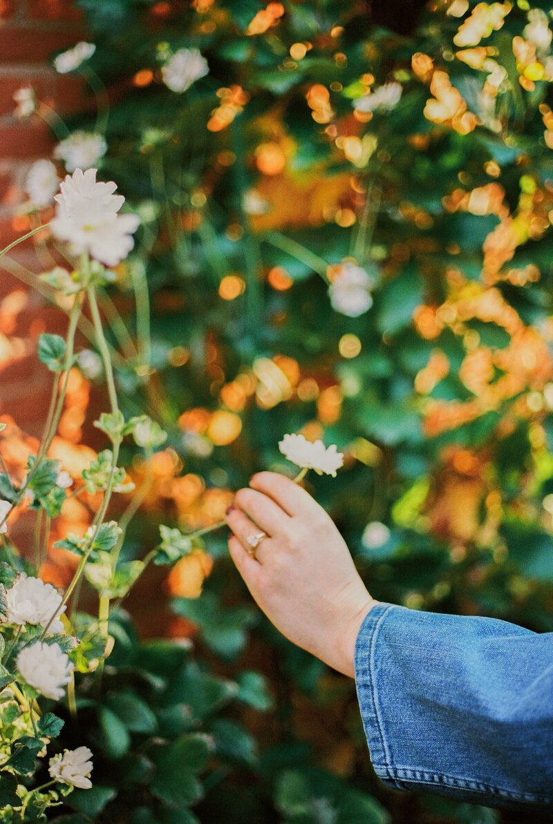 Fall-Engagement-Session-in-Georgetown-DC-on-35mm-Film-18