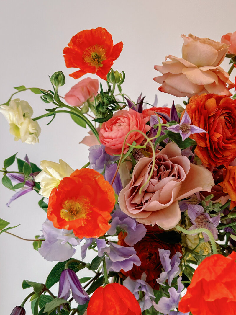 Photo May 22 2024, 3 15 20 PM