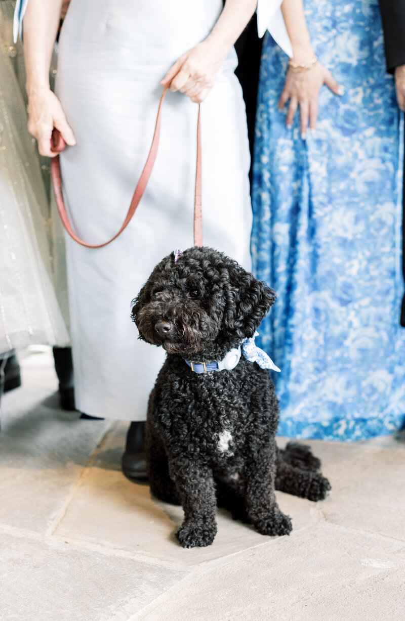 DavidCurtWedding-298