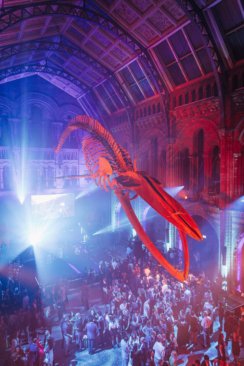 792653518-bain-nhm-september-30-2021-196