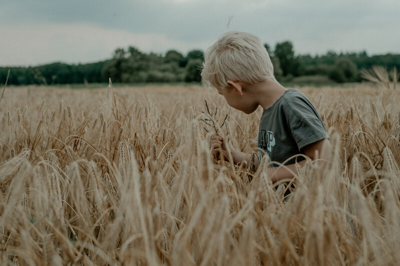 Graan fotografie fotograaf Nunspeet Gelderland Veluwe