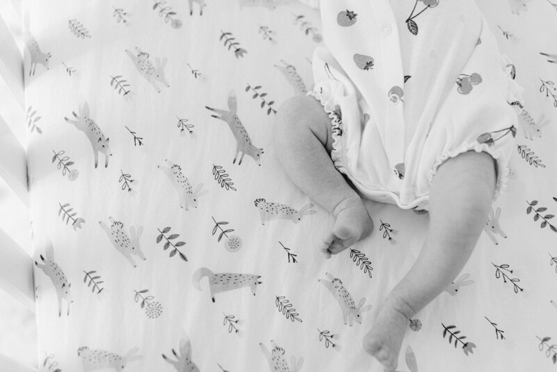 jlaurynphotography_Baby Penny_Website(322)