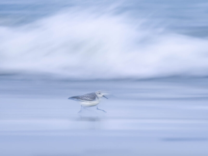 orkney workshop-20250306-P3061954_DxO