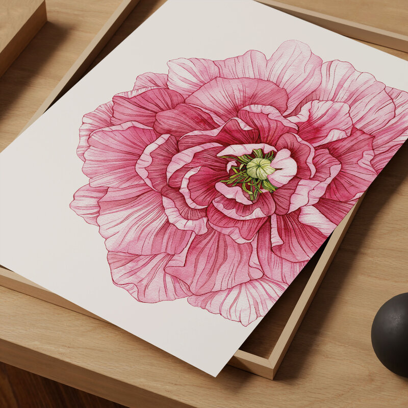 Flat mockup Pink Peony
